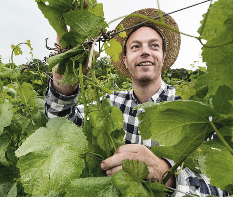 Weingut Schenk